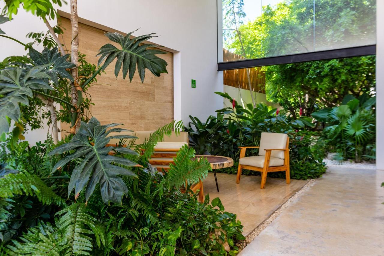 Big Studio At Kaab By The Beach With Roof Top Pool, Sauna And Jacuzzi Near Paseo Del Carmen Mall Плая-дель-Кармен Экстерьер фото