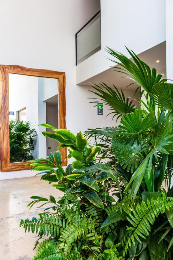 Big Studio At Kaab By The Beach With Roof Top Pool, Sauna And Jacuzzi Near Paseo Del Carmen Mall Плая-дель-Кармен Экстерьер фото